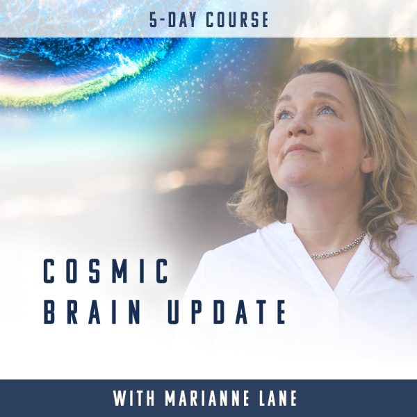 Cosmic Brain Update | Video Course